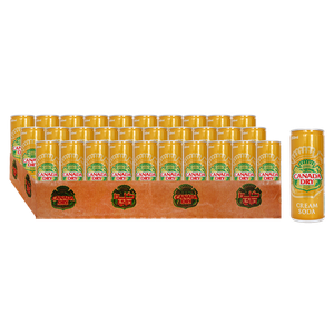 Canada Dry Cream Soda Drink