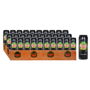 Canada Dry Club Soda Drink