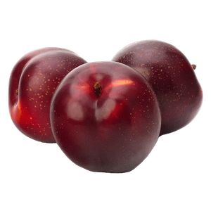 Syrian Plum