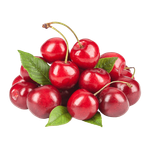 Syrian Cherry