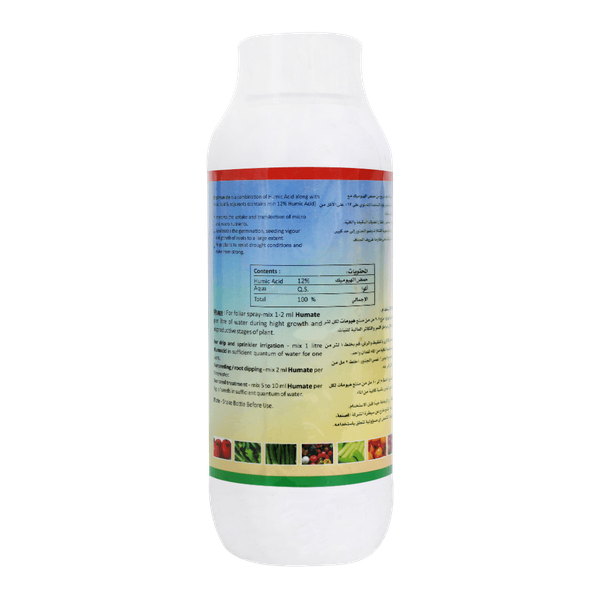 Carousel Main Image 2