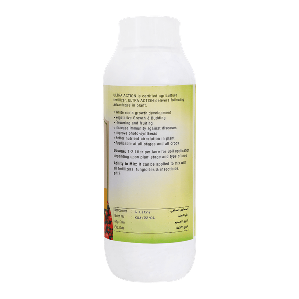 Carousel Main Image 2