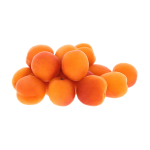 Syrian Apricot