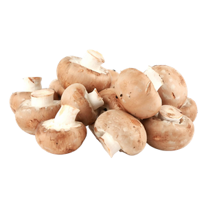 Kuwaiti Brown Mushroom