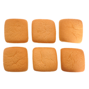 EPIC! Ciabatta Squared Bread