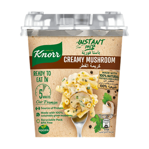 Knorr Creamy Mushroom Instant Pasta 