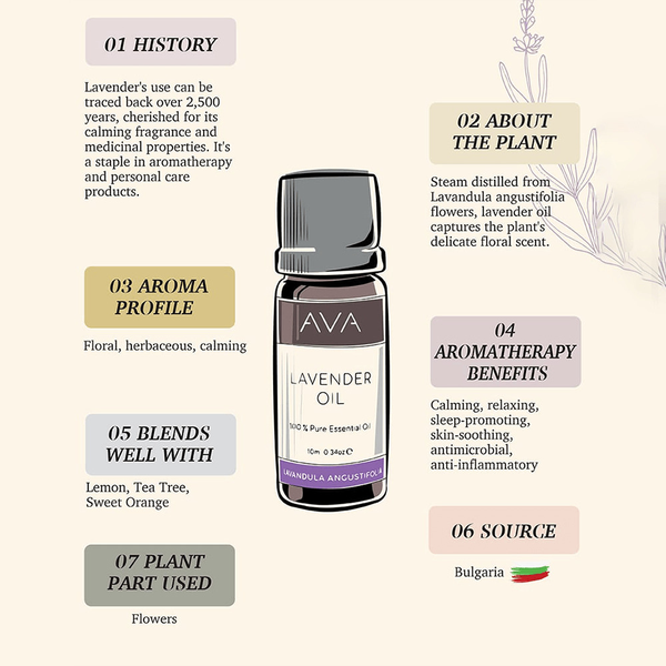 Carousel Main Image 3