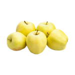 Syrian Golden Apple