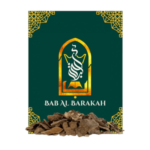 Bab Al Barakah Hindi Chaar Daily
