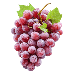 Chilean Red Globe Grape