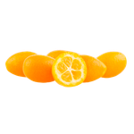 Holland Kumquat