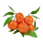 Spanish Clementine With Leaves