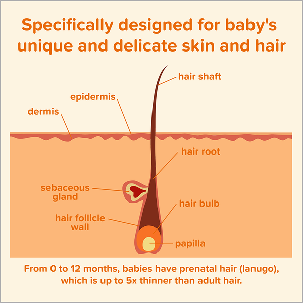 Carousel Main Image 3