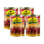 AlBayrouty Red Kidney Beans