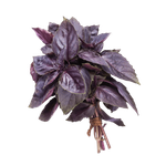 La Farm Basil Red