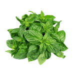 La Farm Basil Green
