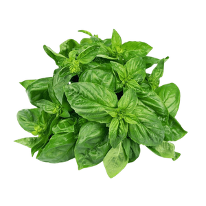 La Farm Basil Green