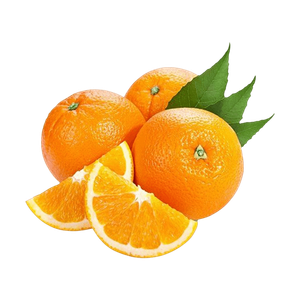 Turkish Navel Orange