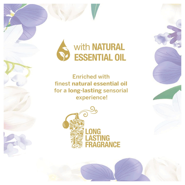 Carousel Main Image 5