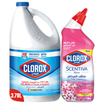 Clorox Original Liquid Bleach & Spring Toilet Cleaner