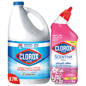 Clorox Original Liquid Bleach & Spring Toilet Cleaner