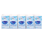 Fine Four Seasons Pocket Tissue