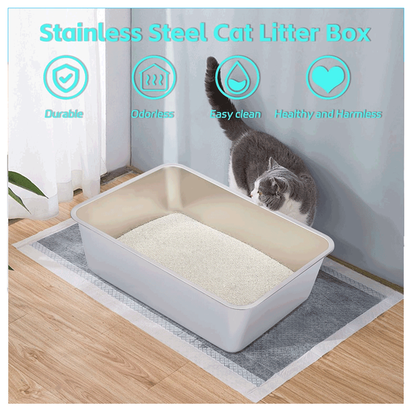 Carousel Main Image 4