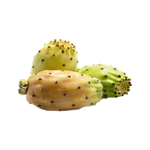 Jordanian Prickly Pears