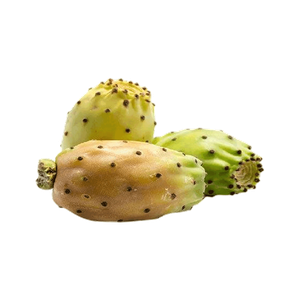Jordanian Prickly Pears