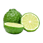 Thai Kaffir Lime 