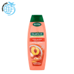 Palmolive 2in1 Shampoo