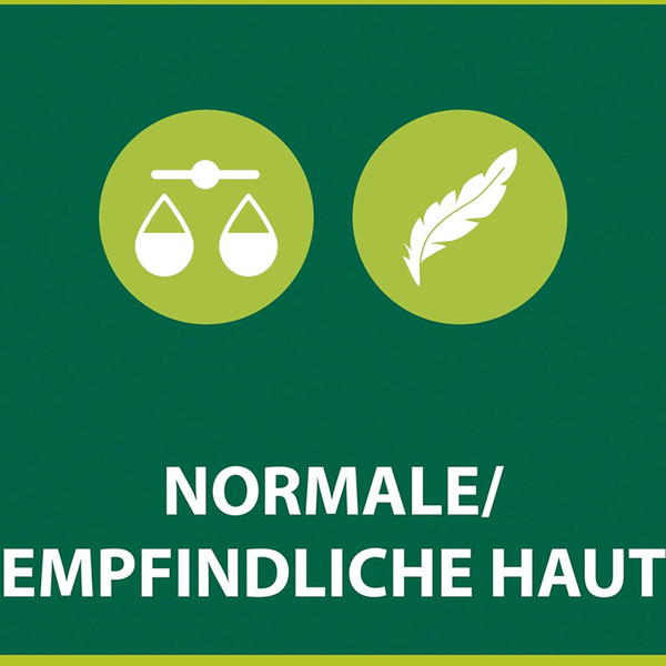 Carousel Main Image 4