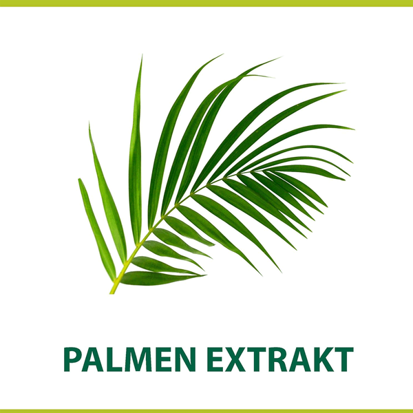 Carousel Main Image 6