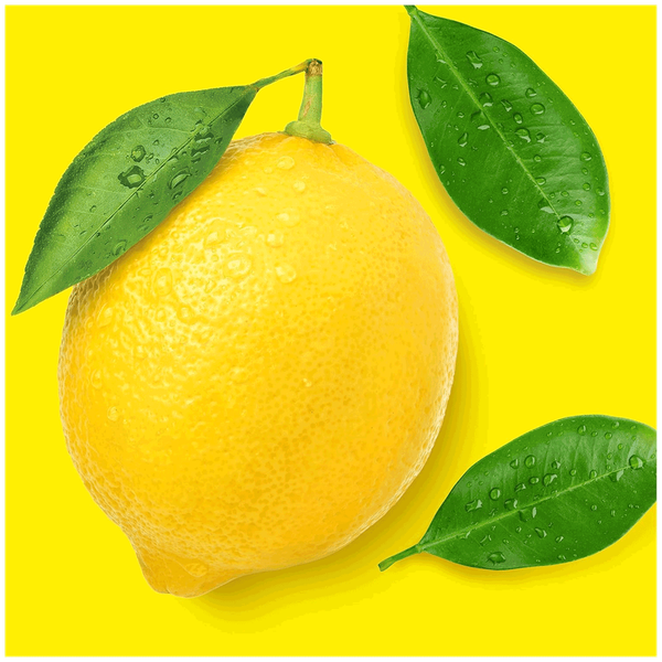 Carousel Main Image 2