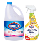 Clorox Disinfecting Bleach + Scentiva Multi-Surface Cleaner Spray 