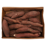 علبة بطاطا حلوة مصرية