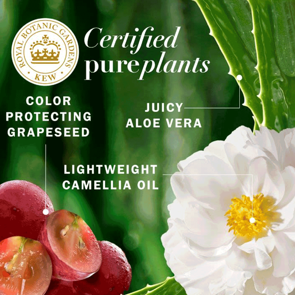 Carousel Main Image 4