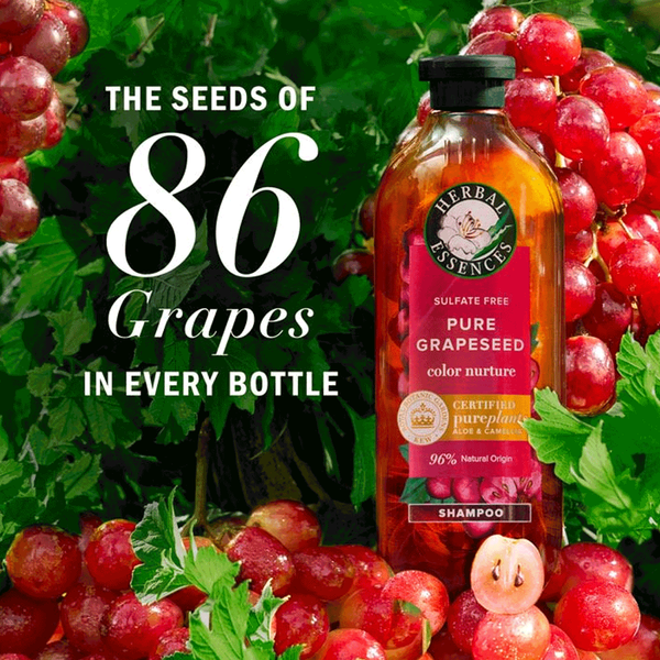 Carousel Main Image 5