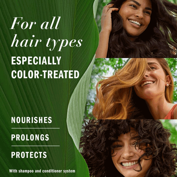 Carousel Main Image 4