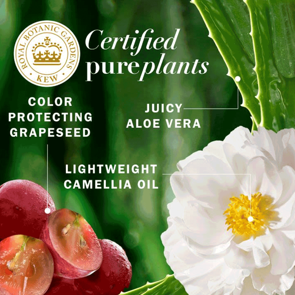 Carousel Main Image 5