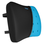 Frido Black Ultimate Lumbar Cushion