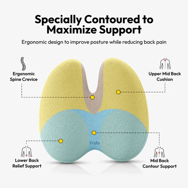 Carousel Main Image 5