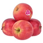 Pink Lady France Apple
