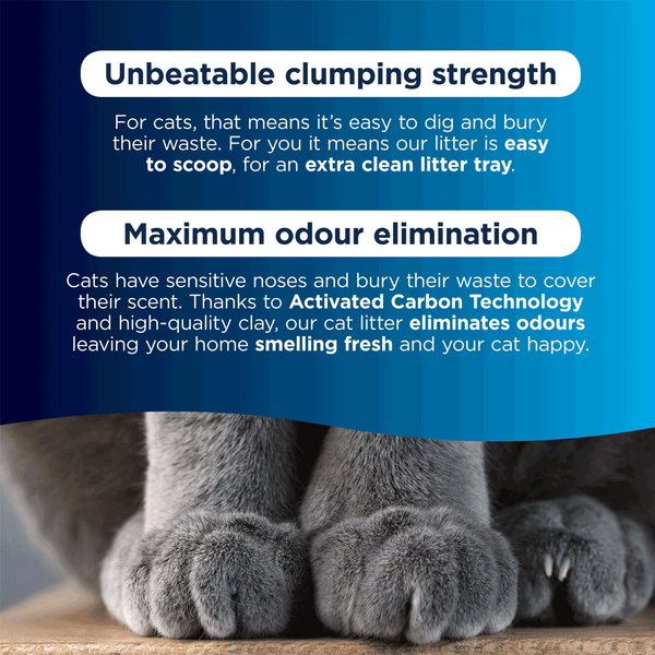 Carousel Main Image 3