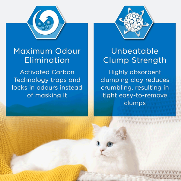 Carousel Main Image 5