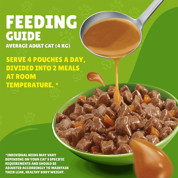 Carousel Main Image 5