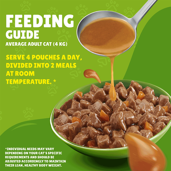 Carousel Main Image 5