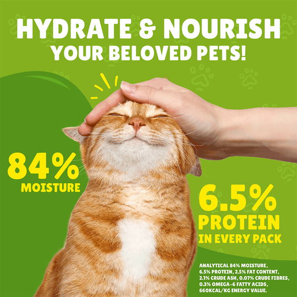 Carousel Main Image 6