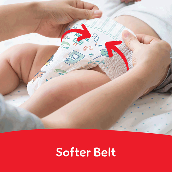 Carousel Main Image 7