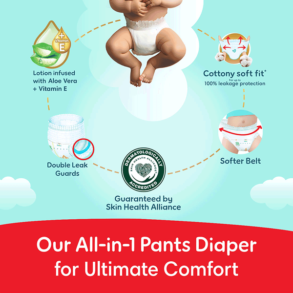 Carousel Main Image 7